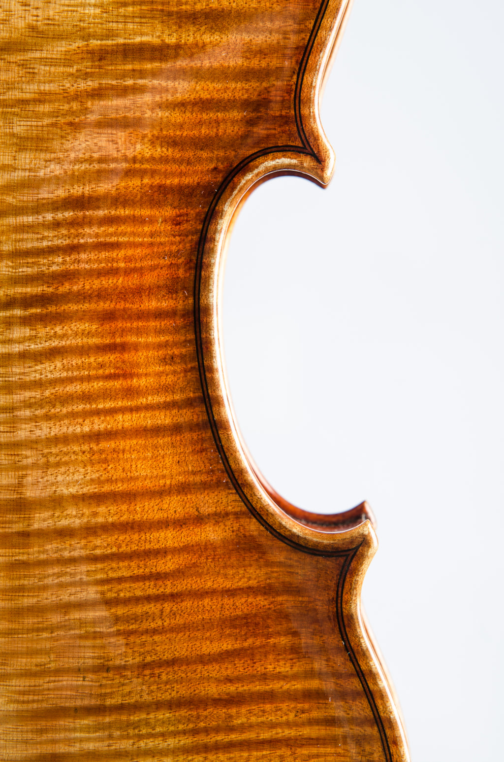 Violin by Hermann Janzen, Opus 188, Mission, 2012