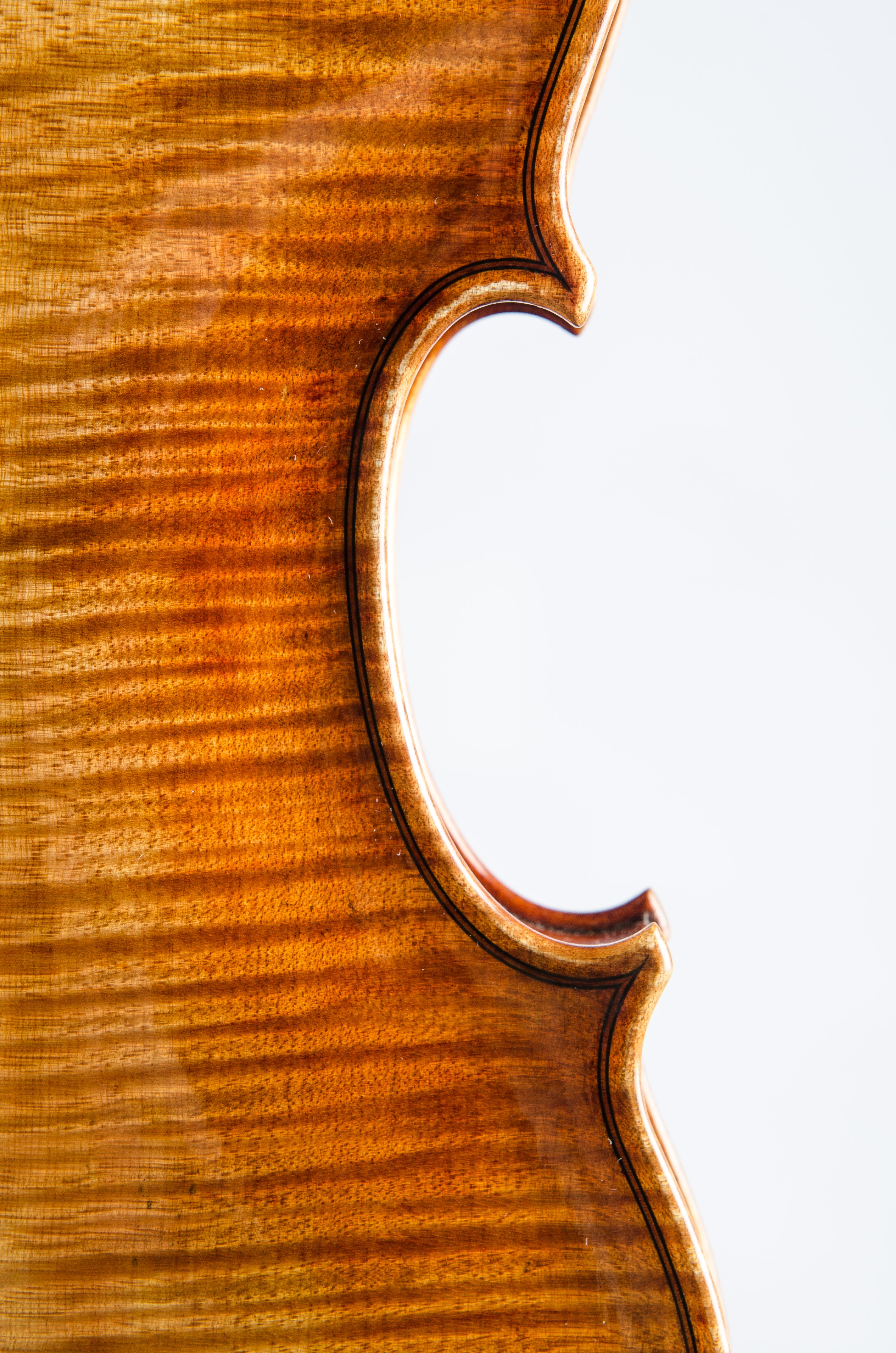 Violin by Hermann Janzen, Opus 188, Mission, 2012