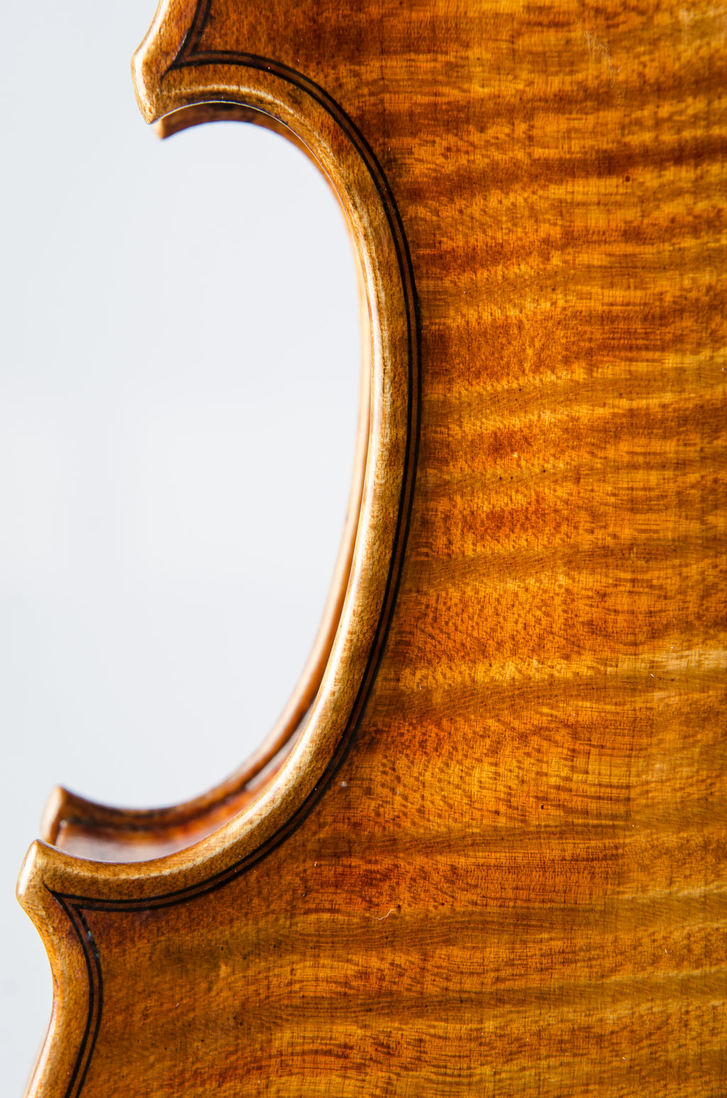Violin by Hermann Janzen, Opus 191, Mission, 2012
