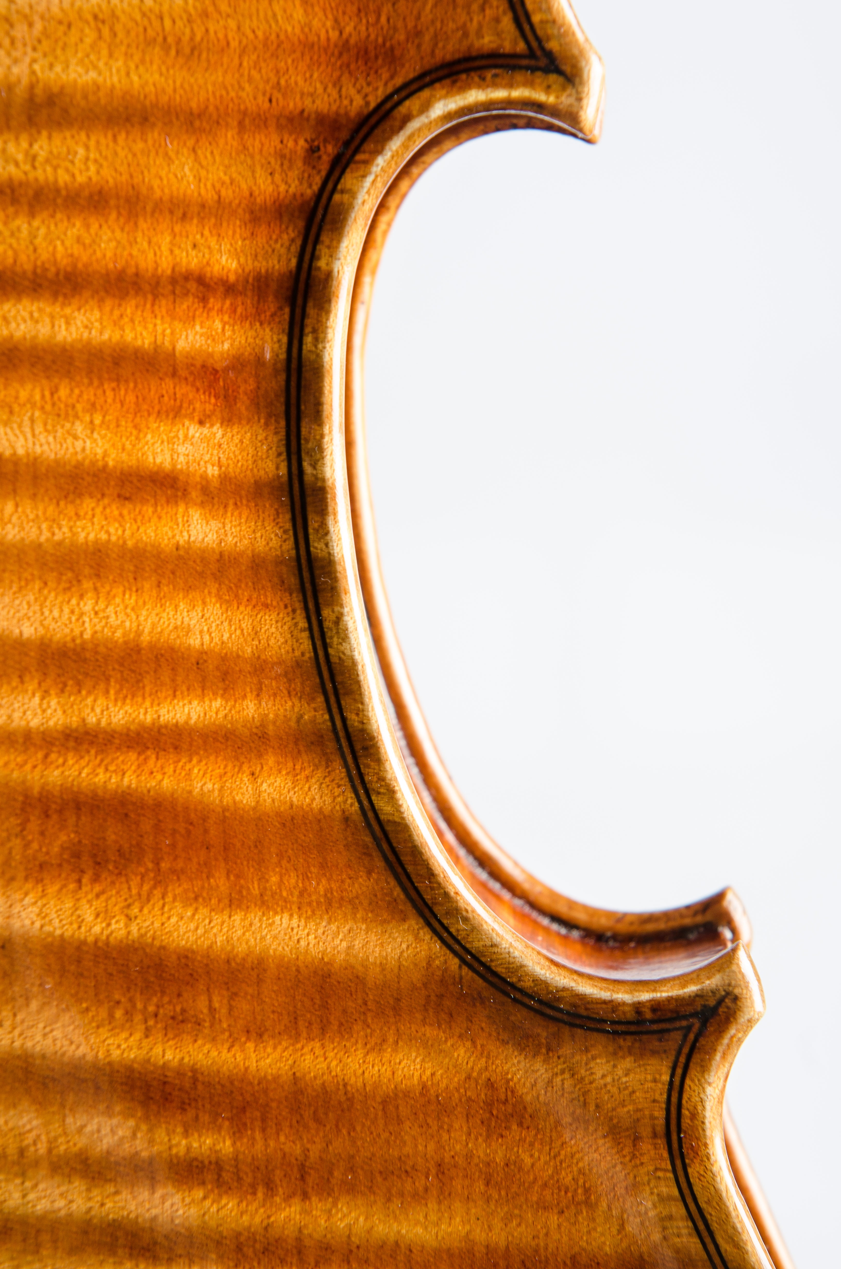 Violin by Hermann Janzen, Opus 191, Mission, 2012
