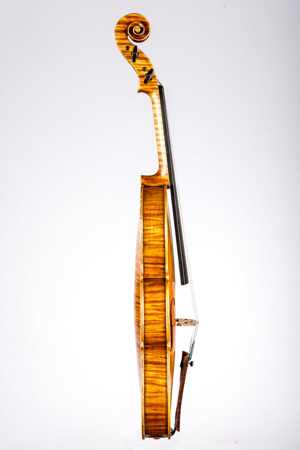 Violin by Hermann Janzen, Opus 193, Mission, 2012