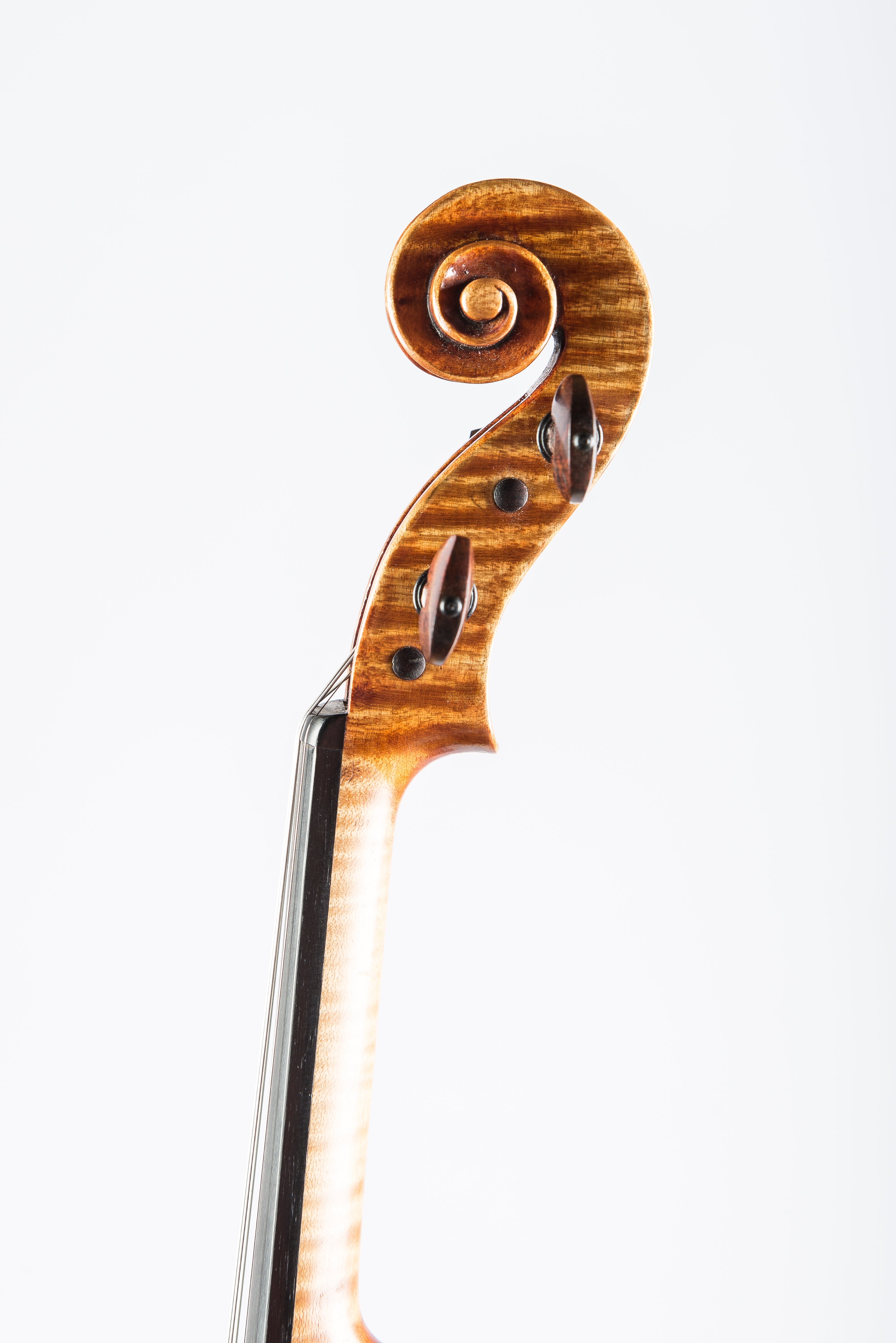 Violin by Hermann Janzen, Opus 193, Mission, 2012