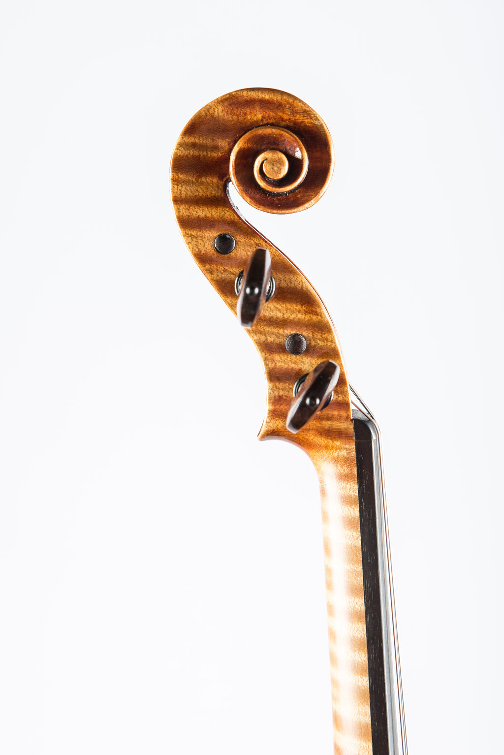 Violin by Hermann Janzen, Opus 193, Mission, 2012