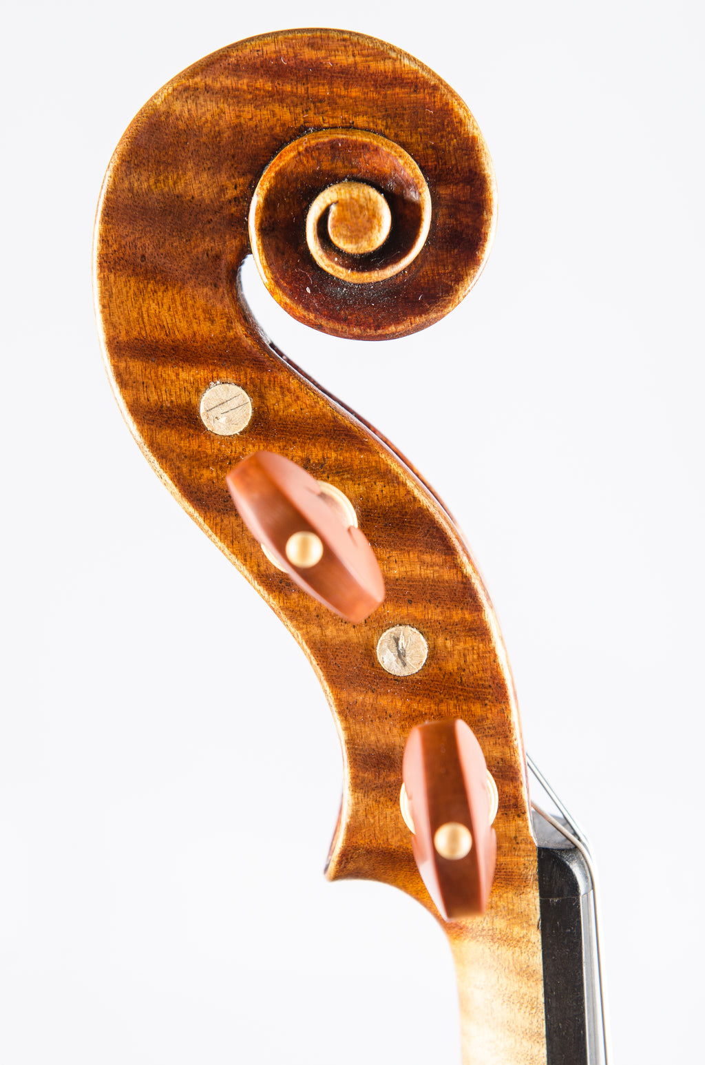 Violin by Hermann Janzen, Opus 190 Mission, 2012
