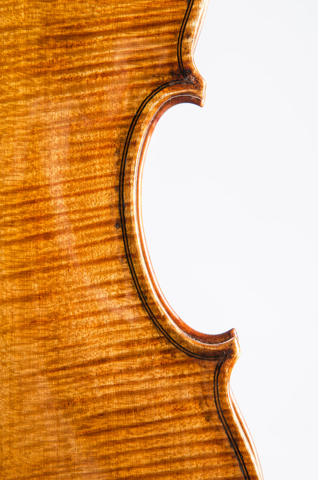 Violin by Hermann Janzen, Opus 190 Mission, 2012